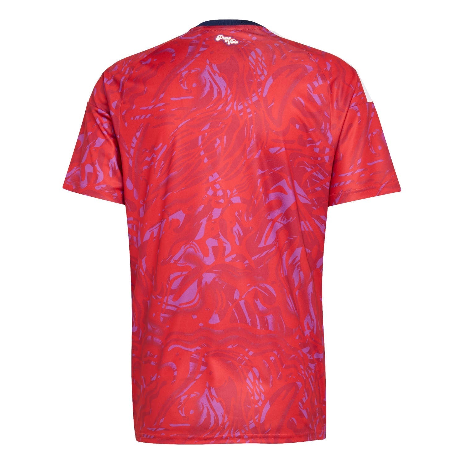 Maillot domicile du Costa Rica 2026 - Homme